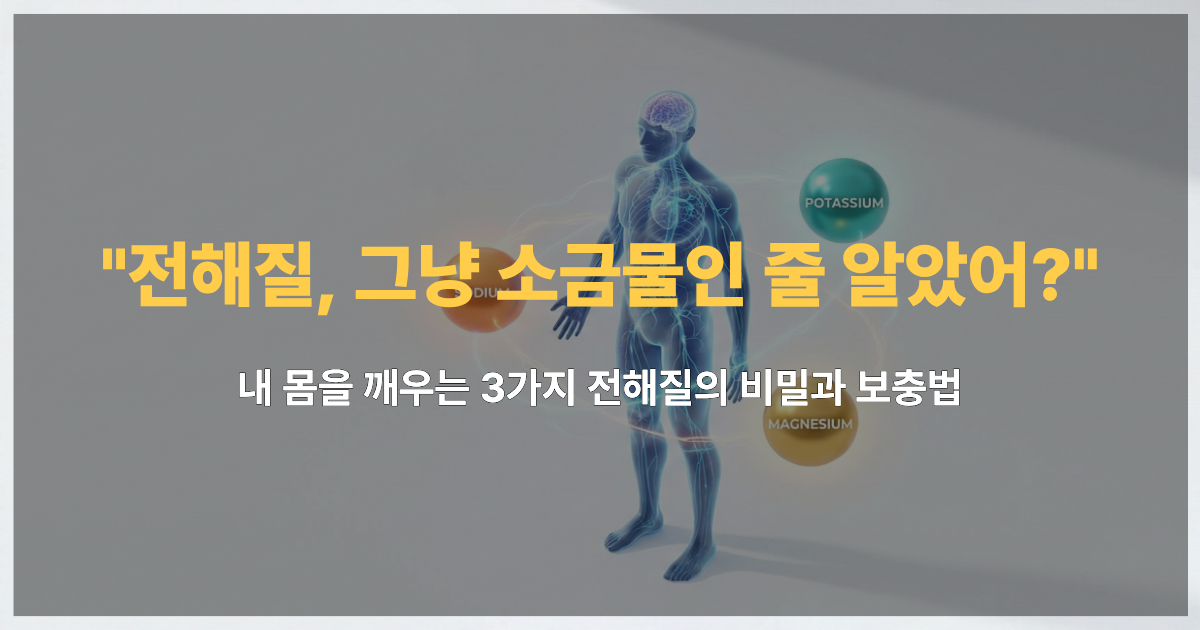 체내 전해질의 종류와 역할을 설명하는 3D 인체 일러스트